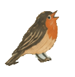 Ein kleiner Vogel